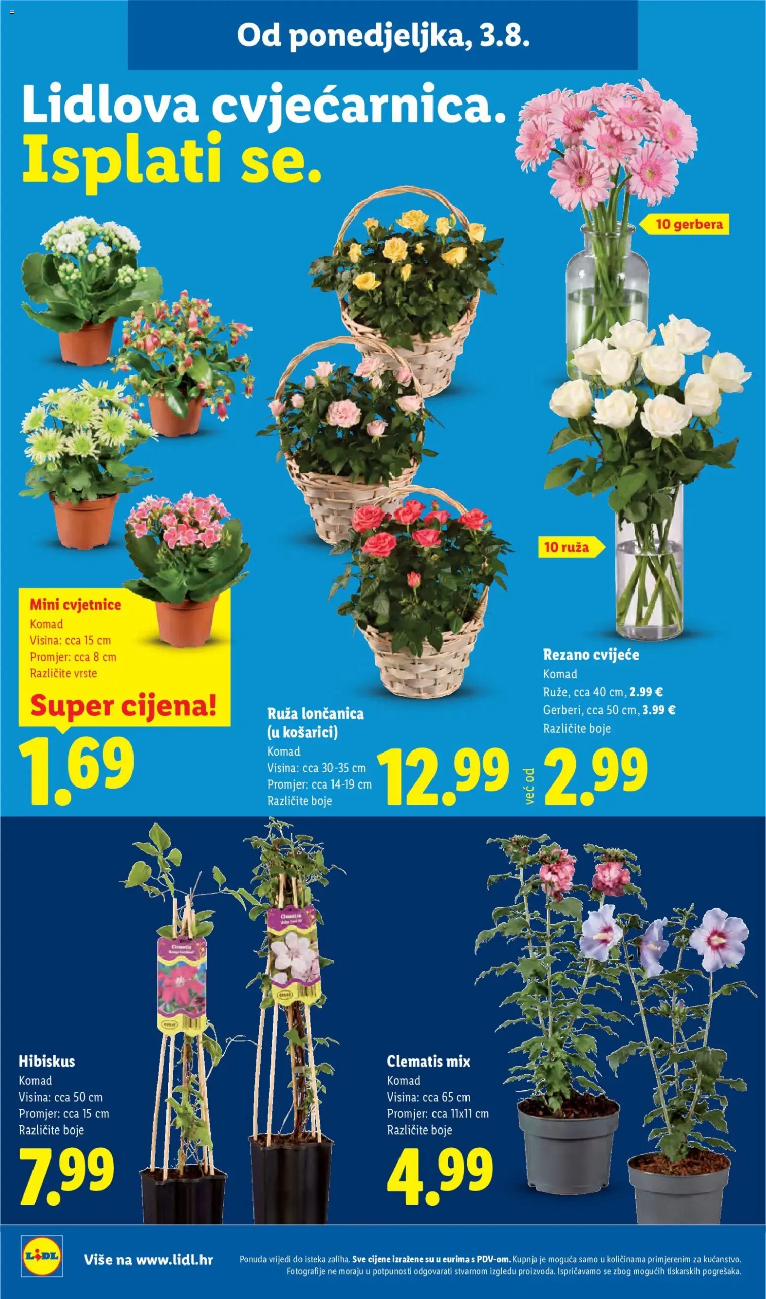 Lidl katalog akcija strana 50 – vrijedi od 3.8. do 9.8.2026.