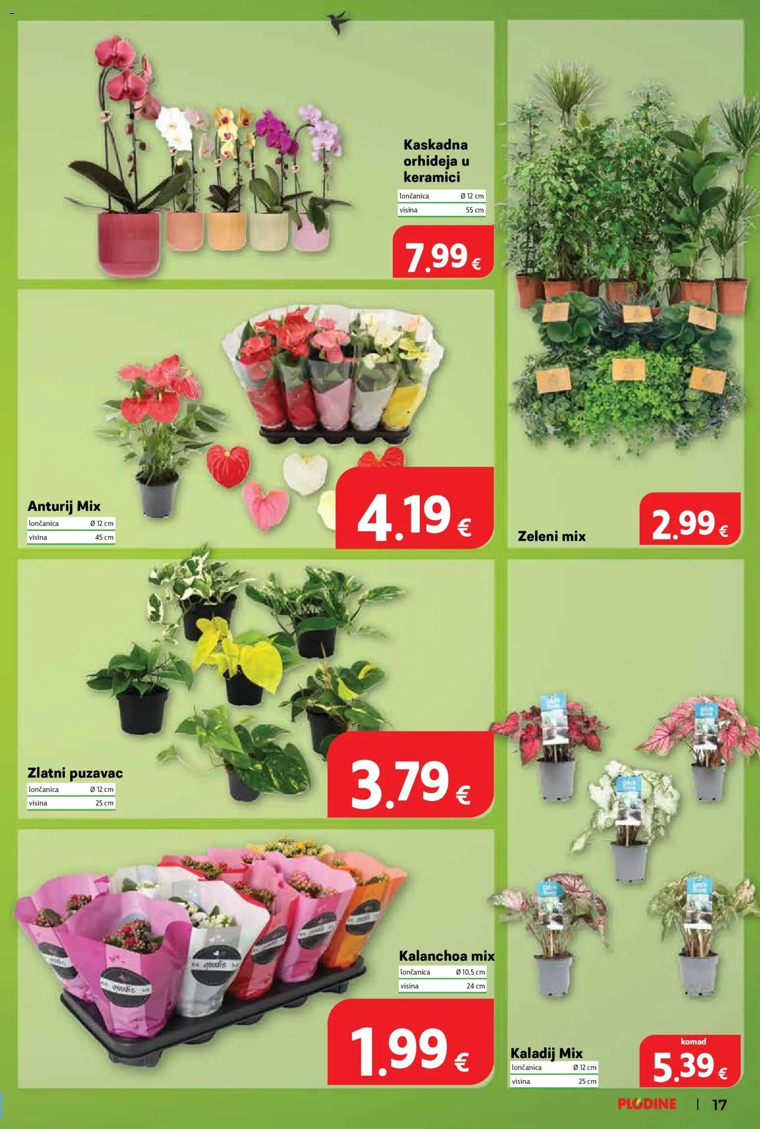 Plodine katalog akcija strana 17 – vrijedi od 6.8. do 11.8.2026.